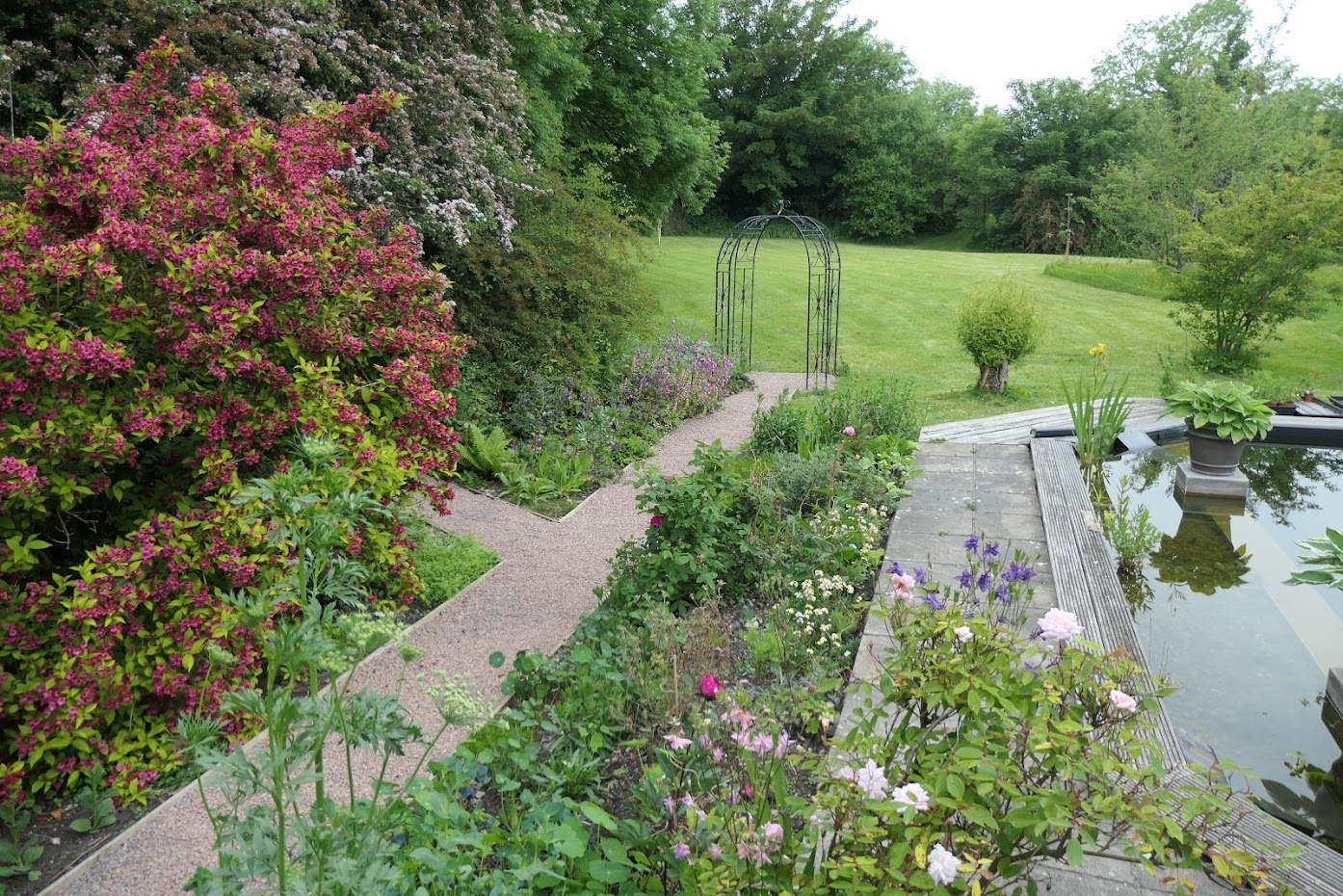 A Pond Garden in the Vale of Glamorgan