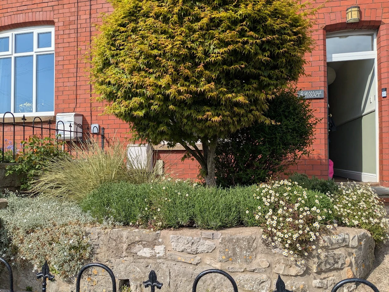 Front Garden near Chepstow